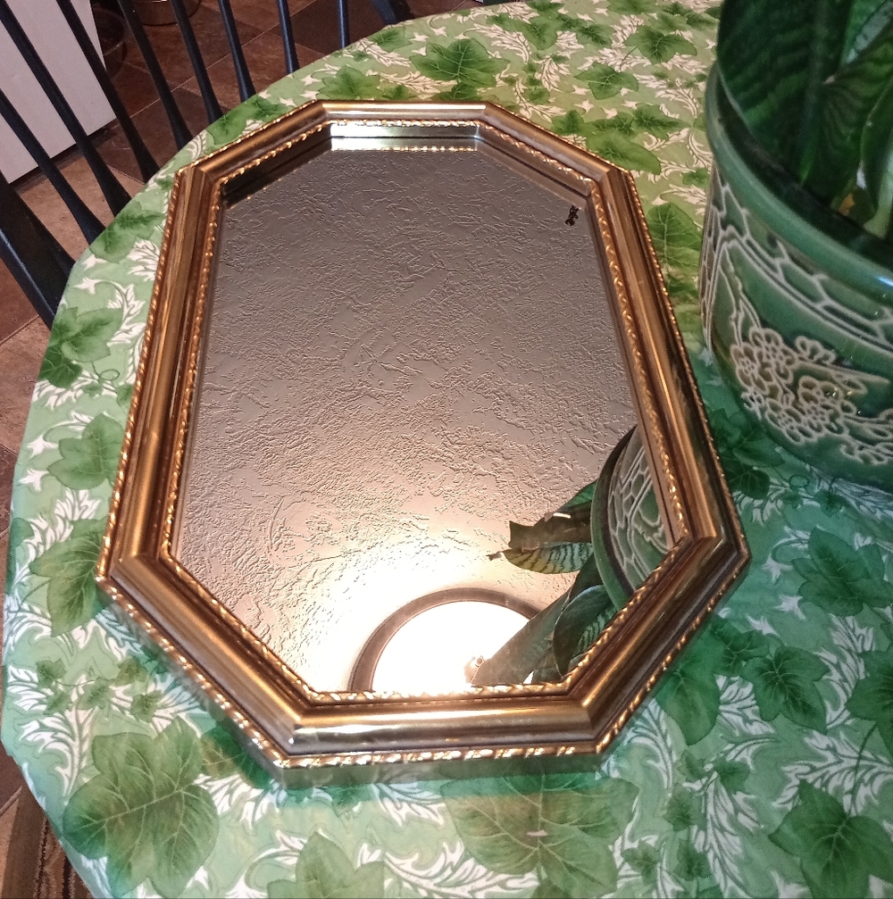Elegant Vintage Gold Plastic Wall Mirror